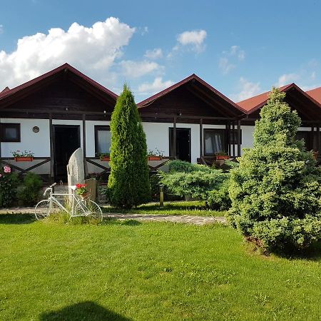 Pensiunea Valea Argesului Albestii Paminteni Экстерьер фото