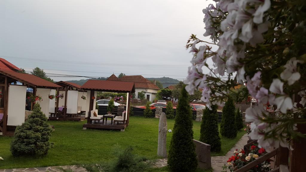 Pensiunea Valea Argesului Albestii Paminteni Экстерьер фото