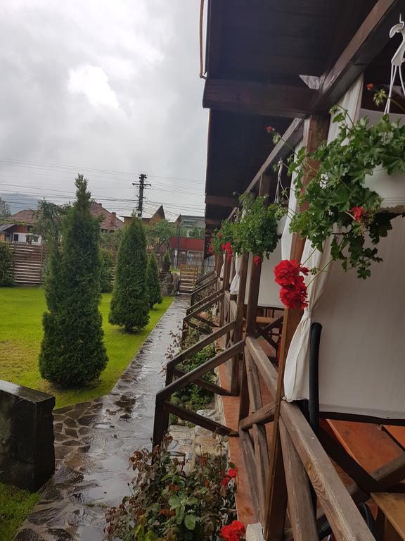 Pensiunea Valea Argesului Albestii Paminteni Экстерьер фото