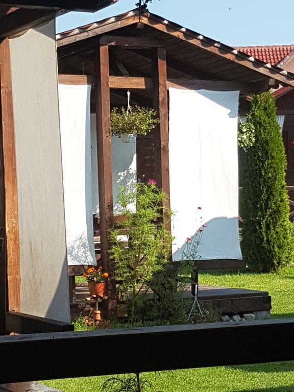 Pensiunea Valea Argesului Albestii Paminteni Экстерьер фото