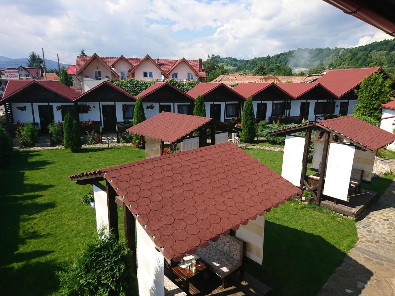 Pensiunea Valea Argesului Albestii Paminteni Экстерьер фото