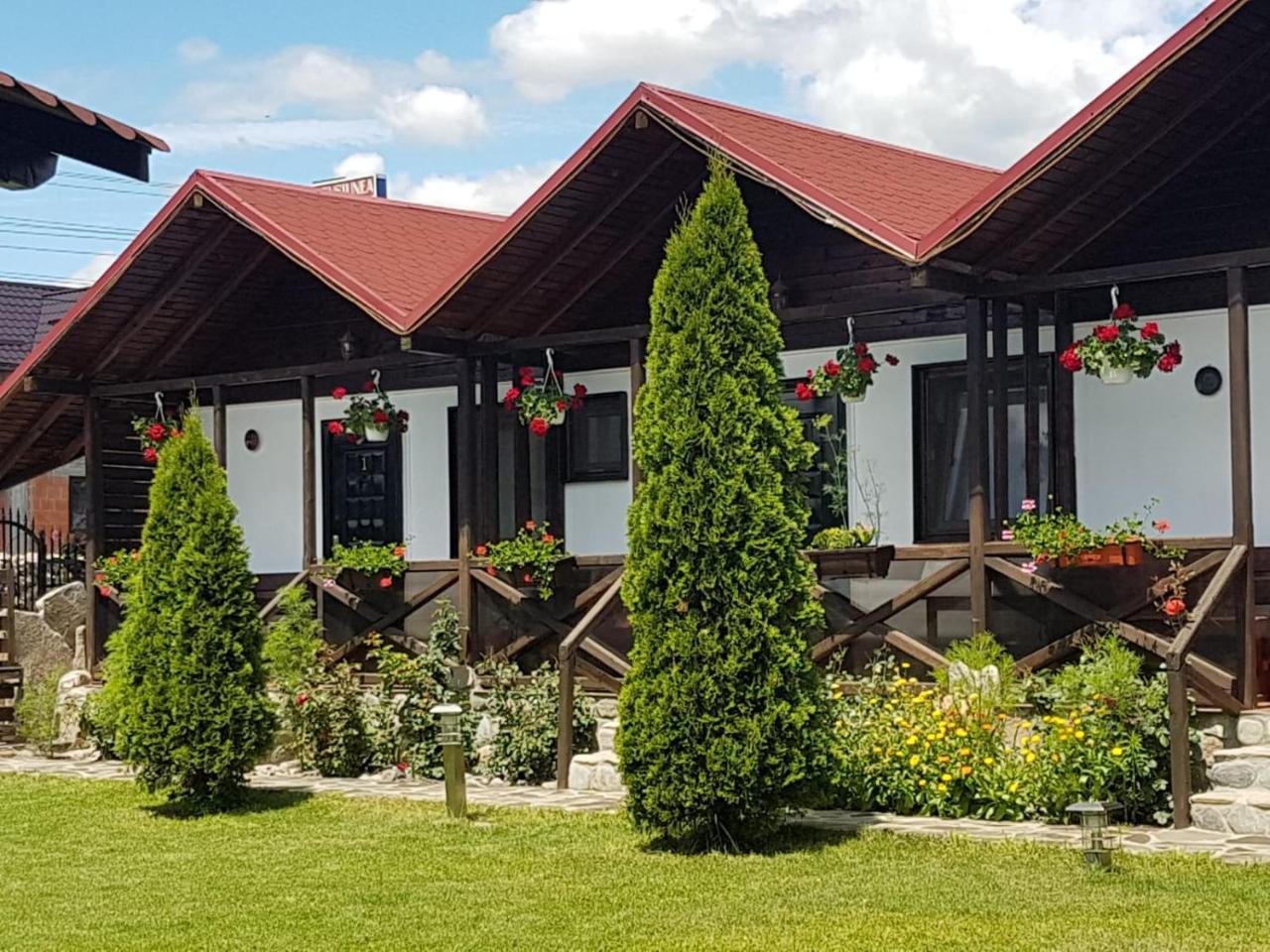 Pensiunea Valea Argesului Albestii Paminteni Экстерьер фото
